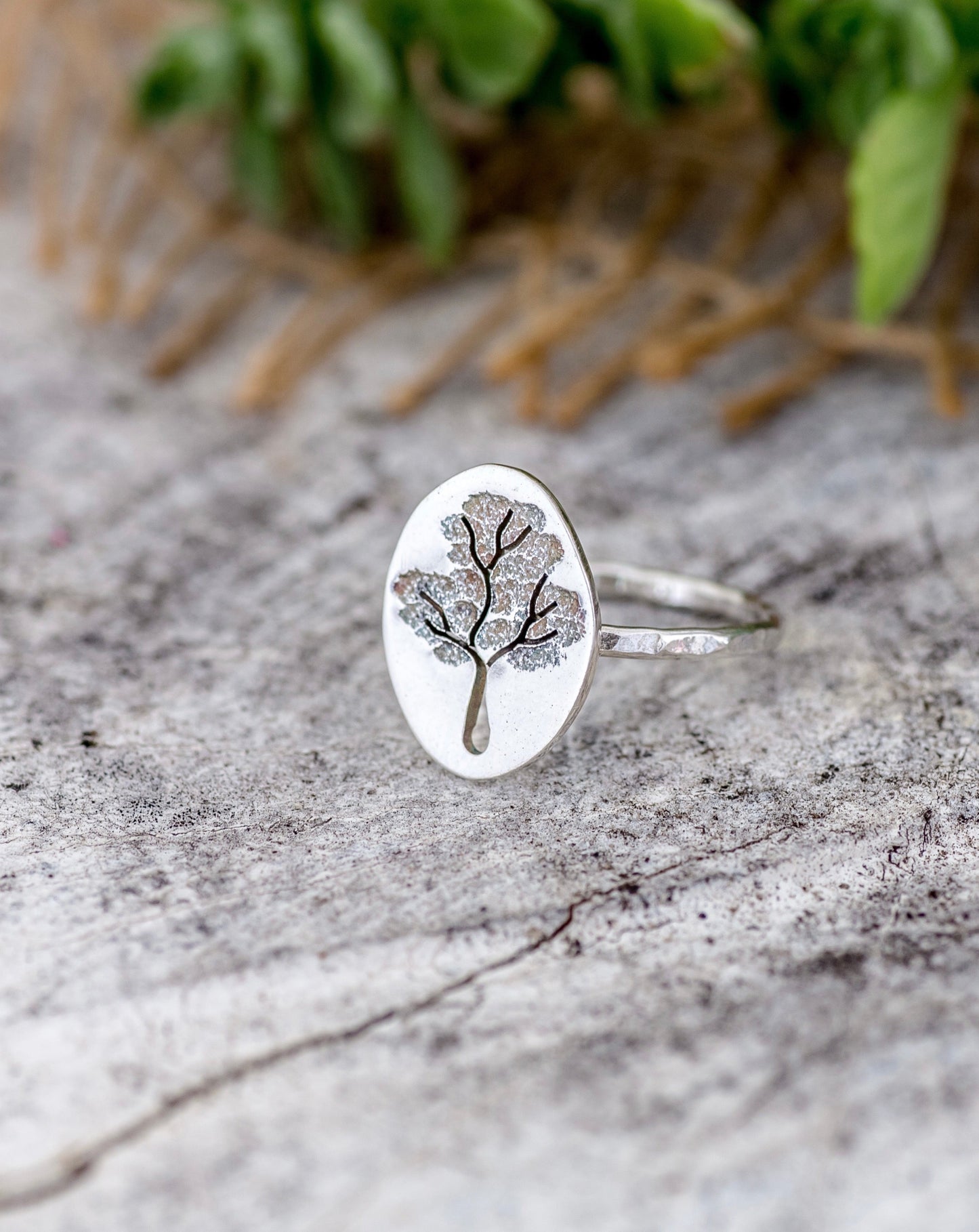 Tree Rings